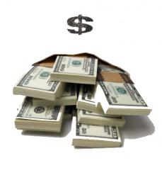 Importazione ed esportazione di calzature